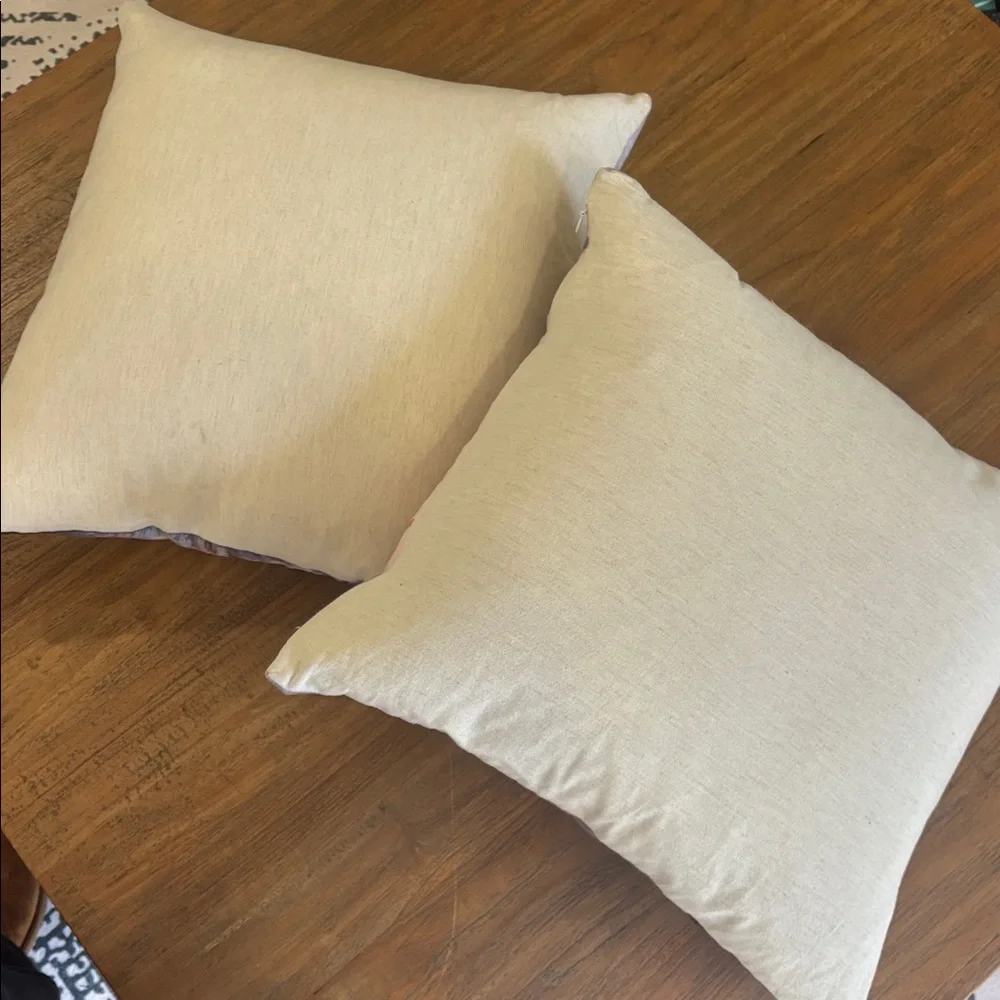 Pair of Crate&Barrel Watercolor Feather Down Pillows